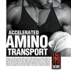 Animal Nitro5