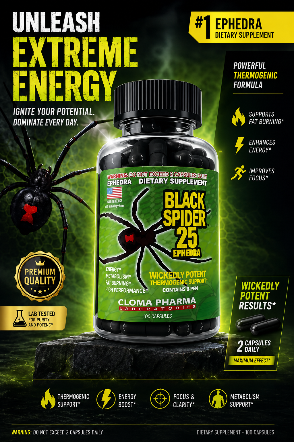 black spider