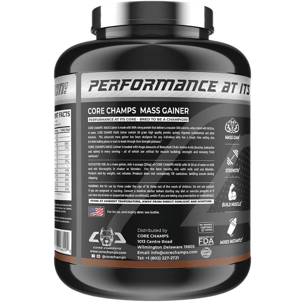 core champs mass gainer (2)