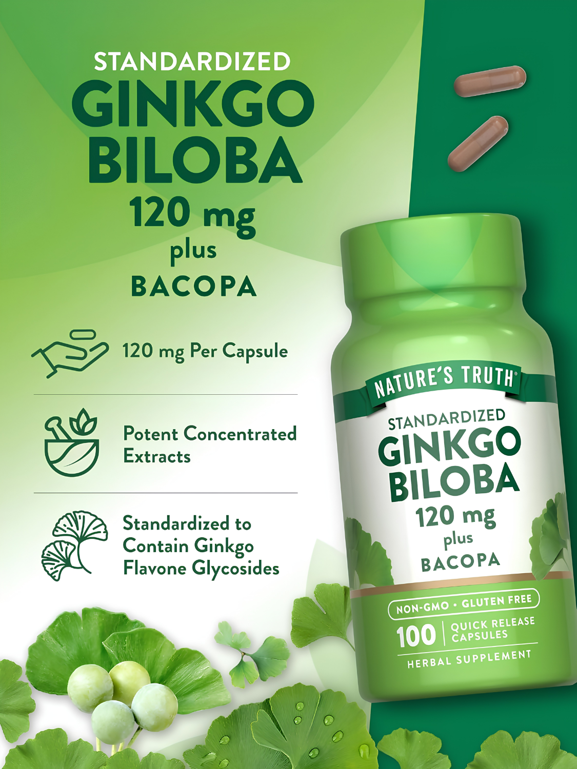 GINKGO BILOBA - Image 5