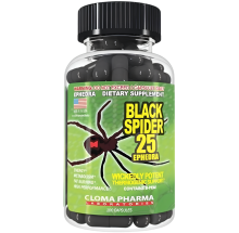 nutritoinbee.pk black spider
