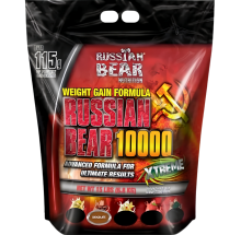 russian bear